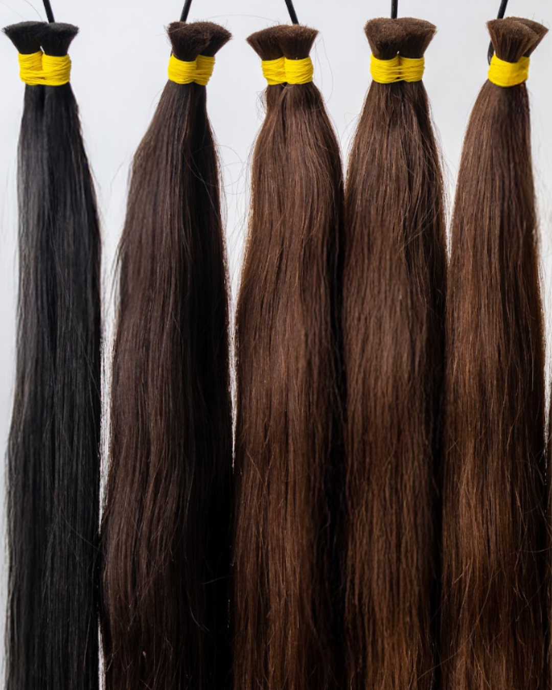 Extensiones obscuros